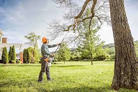 Fox Crossing, WI Tree Services Company